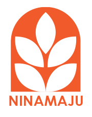 Nina-logo-top